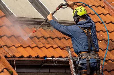 Démoussage et hydrofuge de toiture aux Billaux